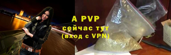 сатива Армянск
