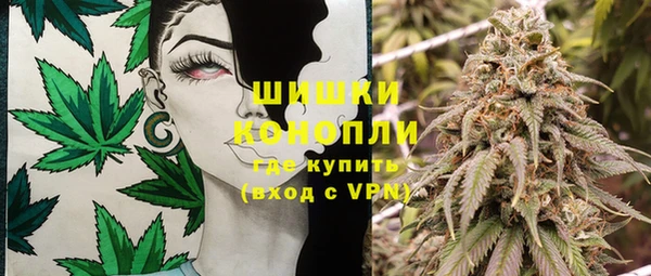 spice Арсеньев
