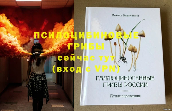 сатива Армянск