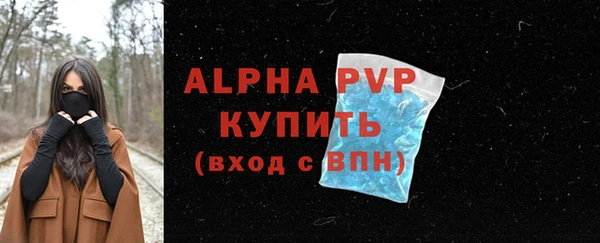 сатива Армянск